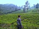 @ardiansyah