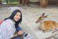 LizSyamsudin avatar