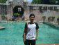 hasto_025