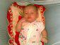 febriandi avatar